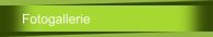 Fotogallerie